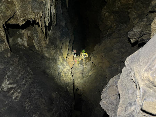 Fóssil de panda gigante descoberto na caverna mais longa da Ásia