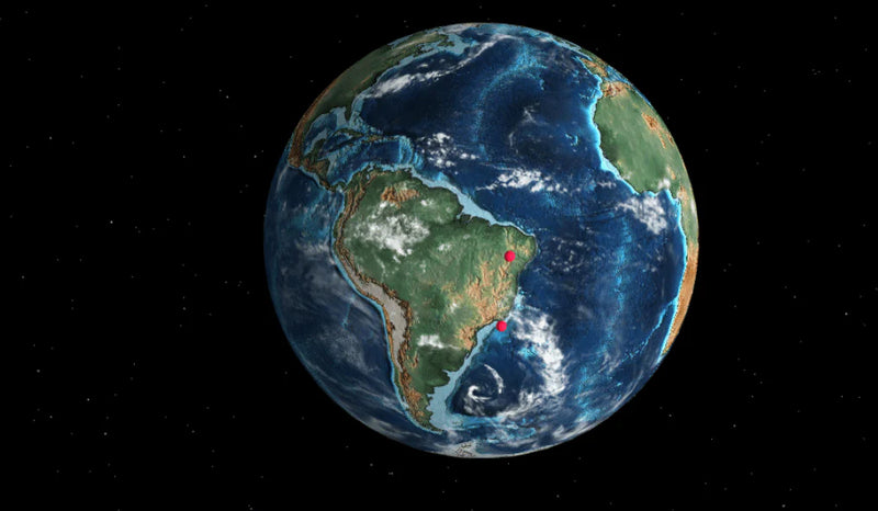 Conheça o mapa permite que você insira seu endereço para ver como ele mudou nos últimos 750 milhões de anos