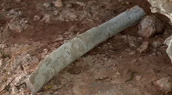 Fósseis que podem ser de titanossauro são descobertos em obra de rodovia em Uberaba